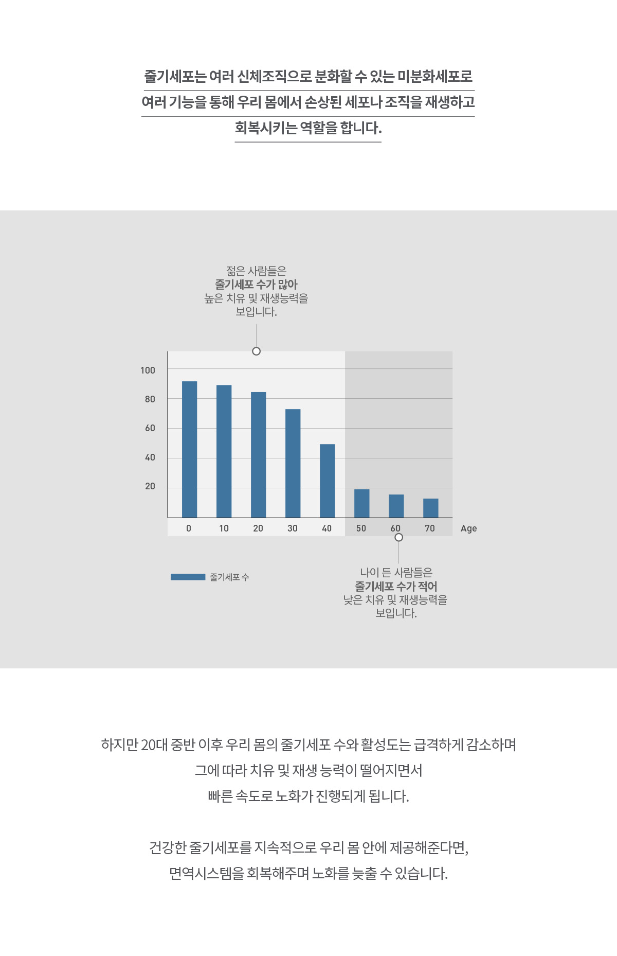 줄기세포상단텍스트